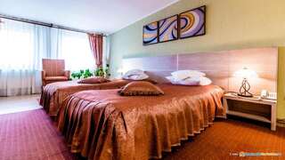 Отель Valea Regilor Reghin Регин Улучшенный двухместный номер с 2 отдельными кроватями-2